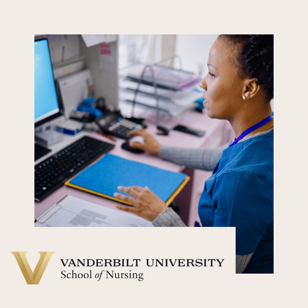 VUSN: Introduction to Qualitative Metasynthesis