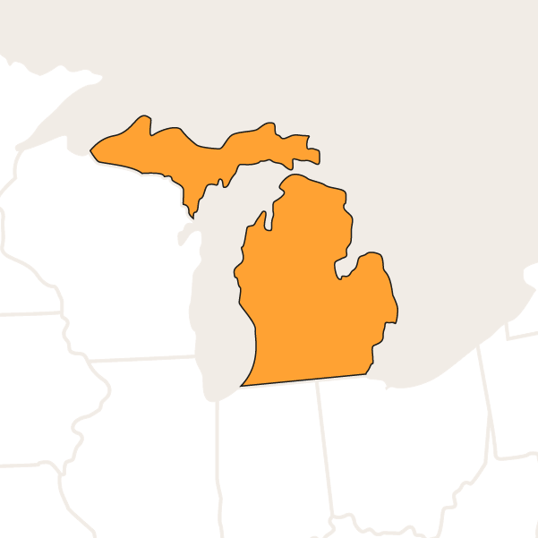 Michigan RN Licensure Renewal Package