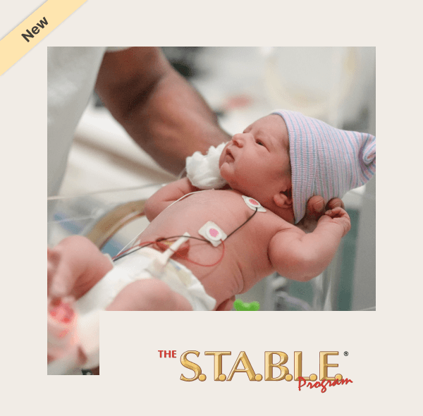 The S.T.A.B.L.E. Program online 7th edition including Foundations