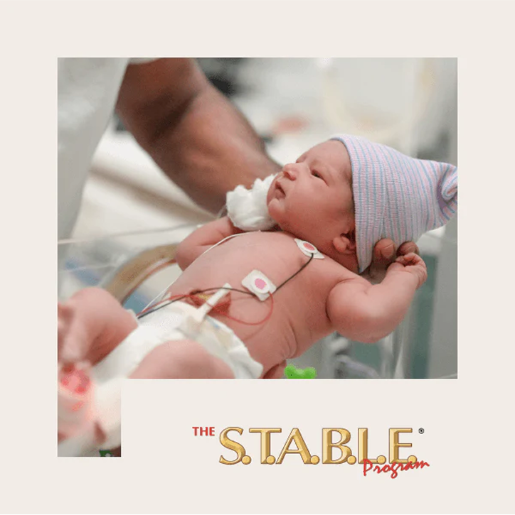 STUDENTS THE S T A B L E PROGRAM visual data 2